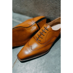 Wingtip Oxford 4