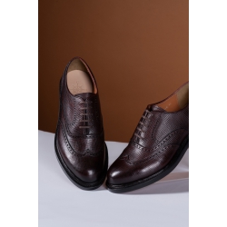 Wingtip Brgoues Oxford  1