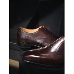 Wingtip Oxford 4